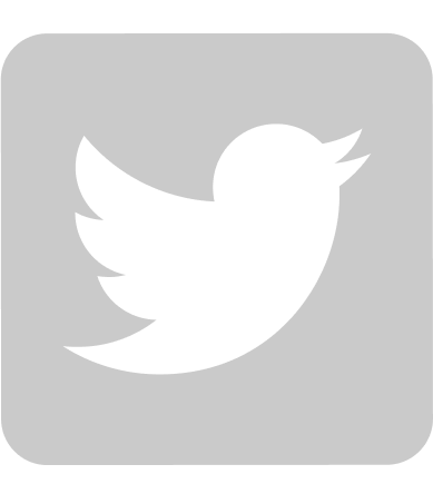 Twitter - icon